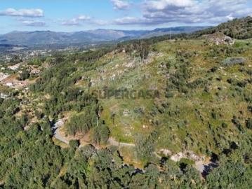 Terreno em Basto