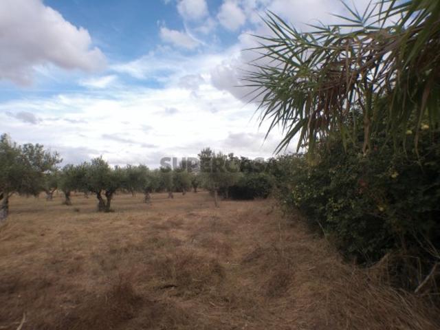 Terreno Em Barbacena
