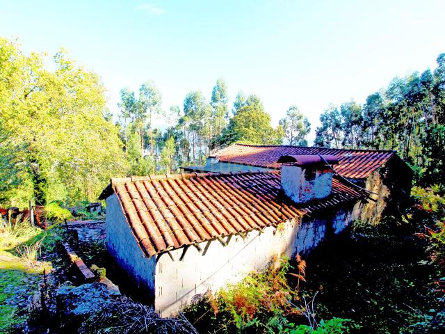 Terreno em Barcelos
