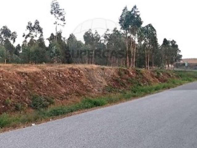 Terreno em Barreiro de Besteiros