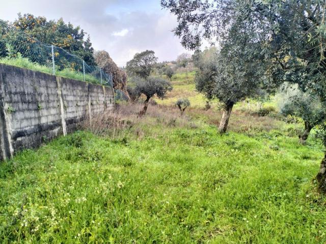 Terreno em Beco Ferreira do Zêzere