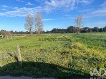 Terreno em Beduído e Veiros de 1720,00 m²