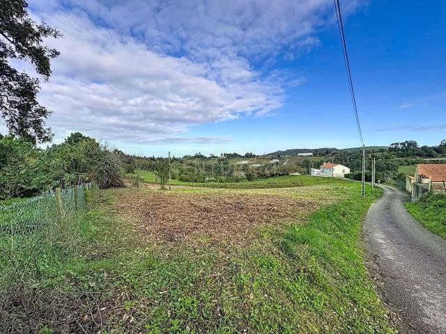 Terreno em Bemposta, Alcobaça – Oportunidade Única!