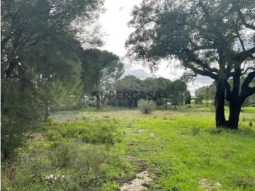 Terreno em Benavente