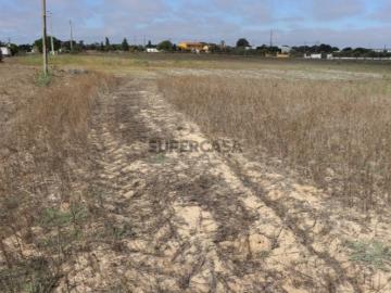 Terreno em Benavente