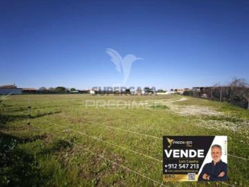 Terreno em Benavente
