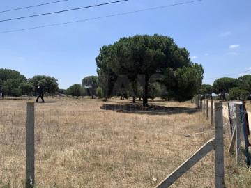 Terreno em Benavente