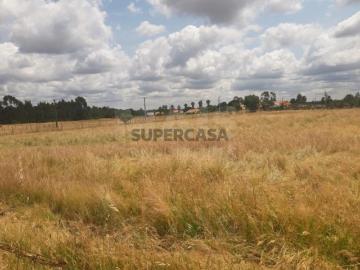 Terreno em Benavente