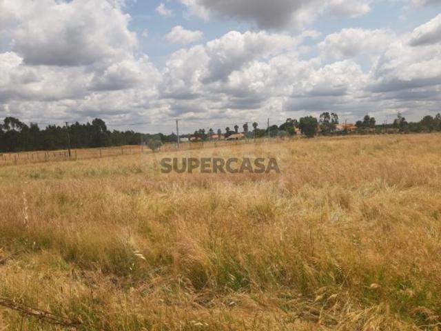 Terreno em Benavente