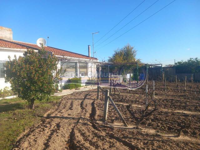 Terreno em Benavente B625
