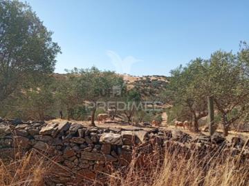 Terreno em Bencatel