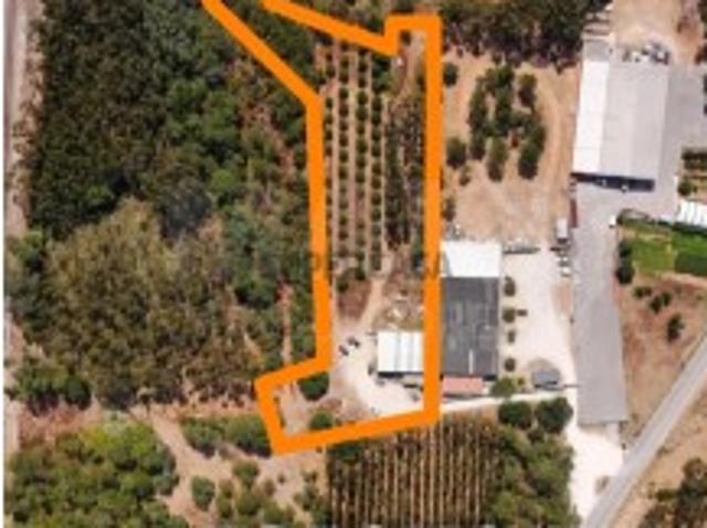 Terreno em Benedita