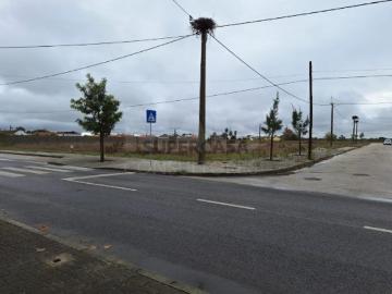 Terreno em Benfica do Ribatejo