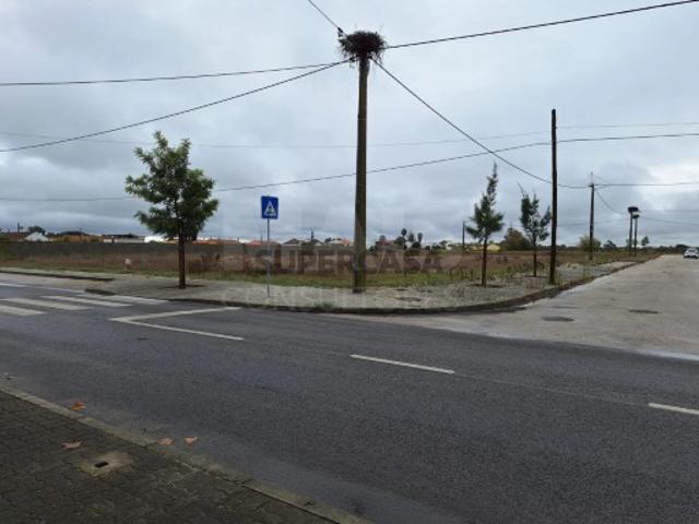Terreno em Benfica do Ribatejo