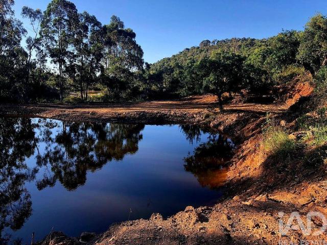 Terreno Agrícola em Bensafrim e Barão de São João