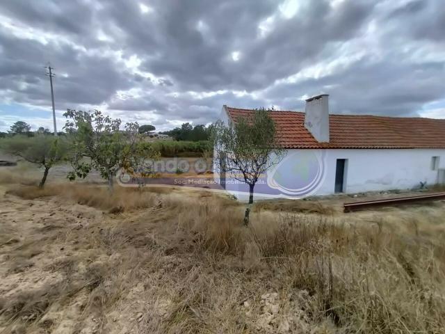 Terreno em Biscaínho, Coruche CRCH131