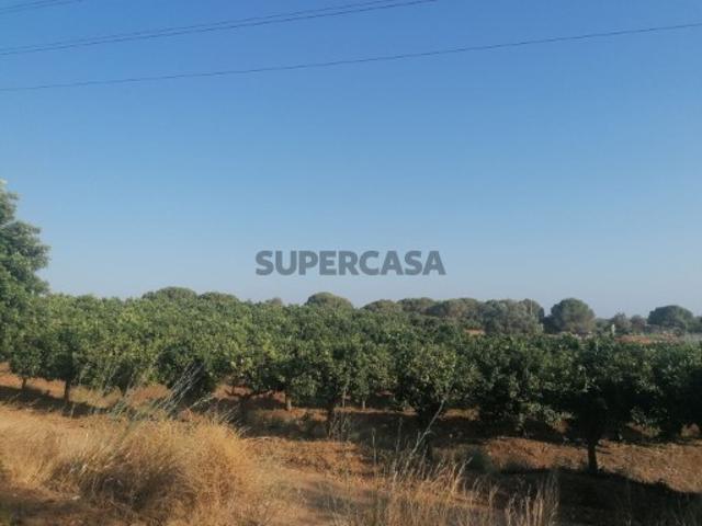 Terreno em Boliqueime