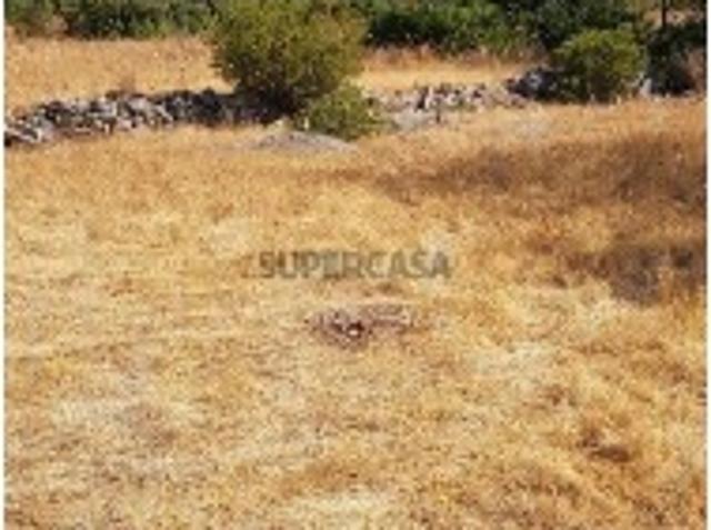 Terreno em Boliqueime de 13750,00 m²
