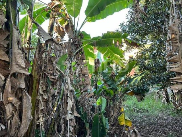 TERRENO EM BOLSÃO RESIDENCIAL COM 442M2