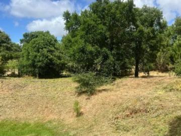 Terreno em Bombarral e Vale Covo