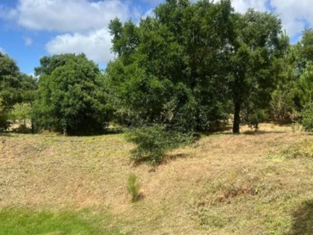 Terreno em Bombarral e Vale Covo