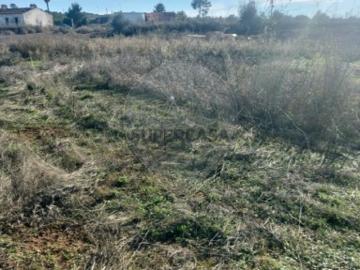 Terreno em Borba Matriz