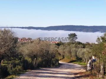 Terreno em Borba Matriz