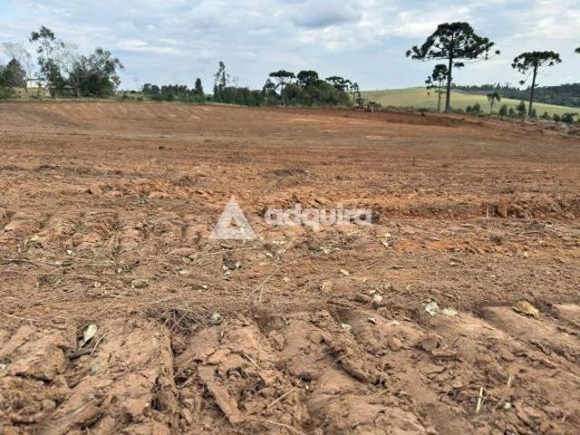 Terreno em Br376, Ponta Grossa/PR de 221964m² à venda por R$ 4.500.000,00
