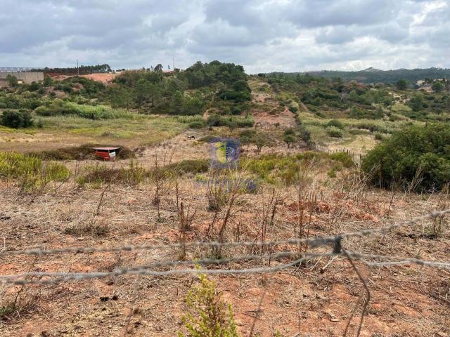 Terreno em Cucos na Ventosa para culturas diversas
