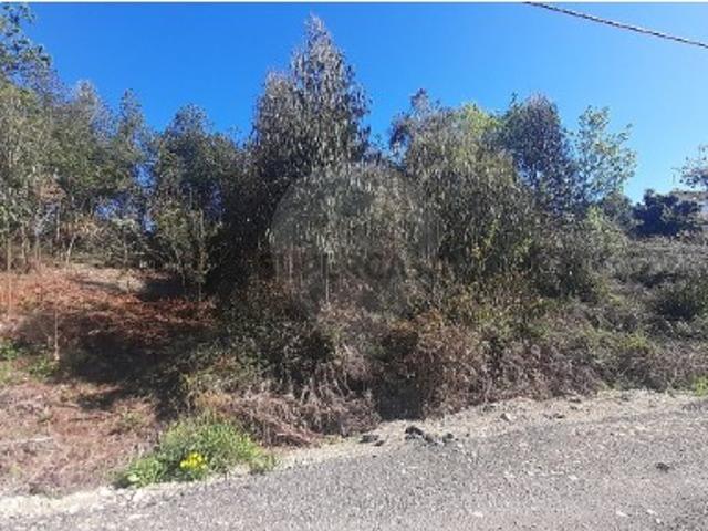 Terreno em Cacia