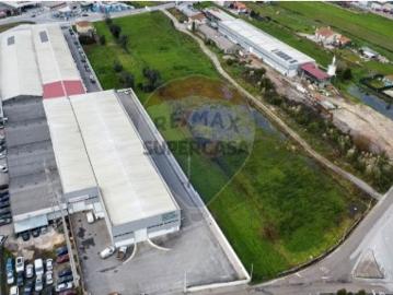Terreno em Cacia