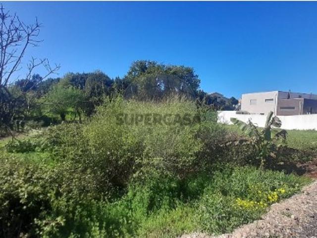 Terreno em Cacia
