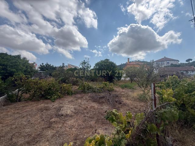 Terreno em Cabanas, quinta do Anjo, Palmela