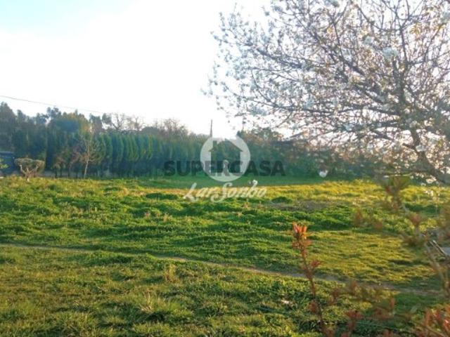Terreno em Cervães