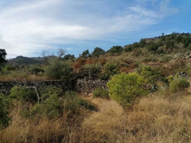 Terreno em Cabeça Boa