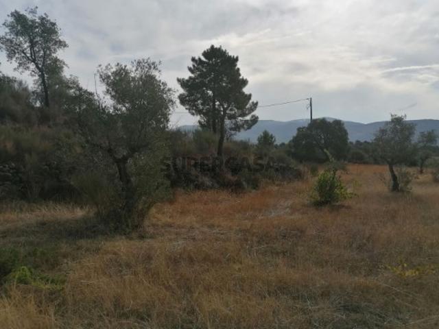 Terreno em Cabeça Boa