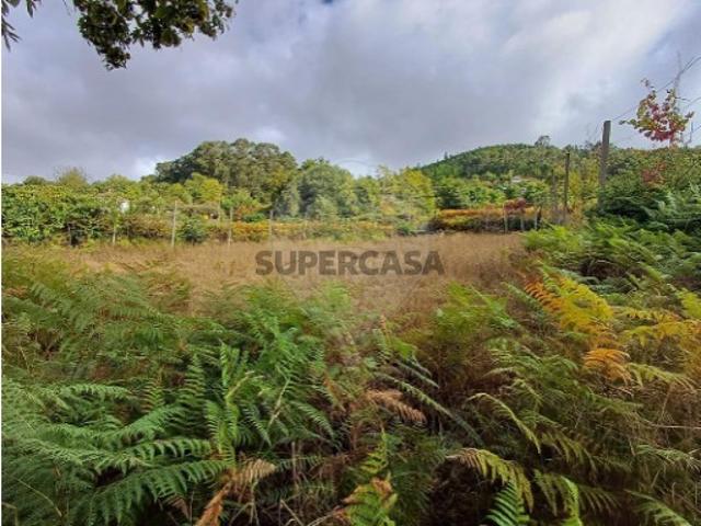Terreno em Cabeceiras de Basto