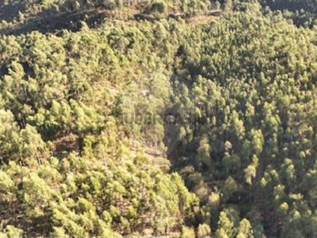Terreno em Cabeceiras de Basto