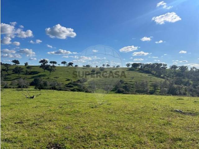 Terreno em Cabrela