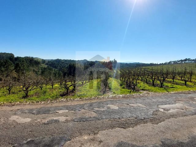 Terreno em Caldas da Rainha