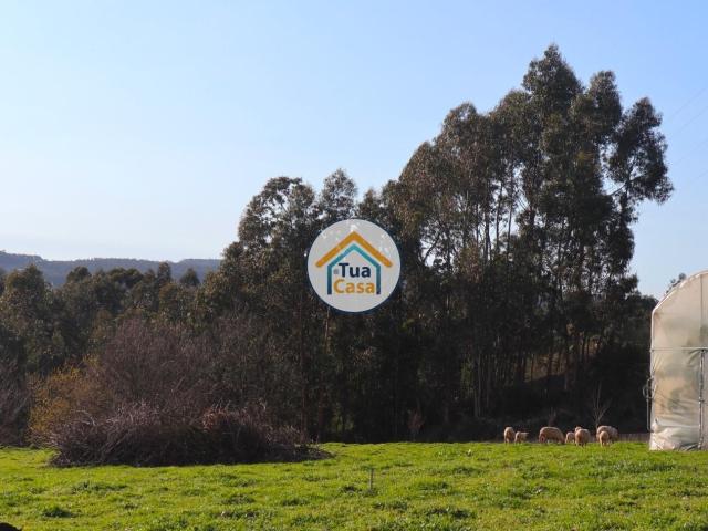 Terreno em Calendário com Viabilidade de Construção
