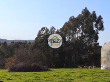 Terreno em Calendário com Viabilidade de Construção