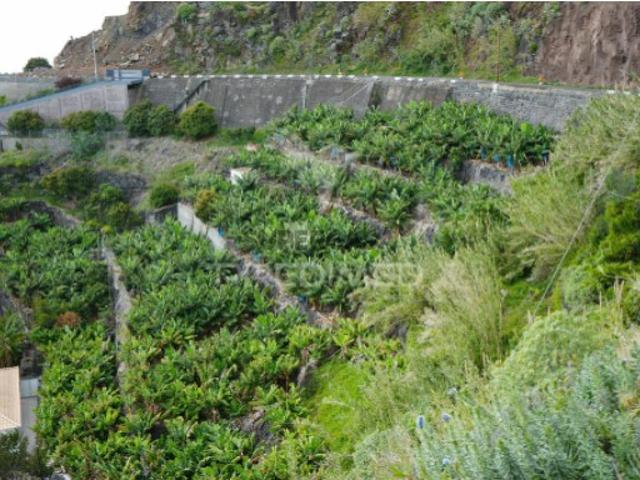 Terreno em Arco da Calheta