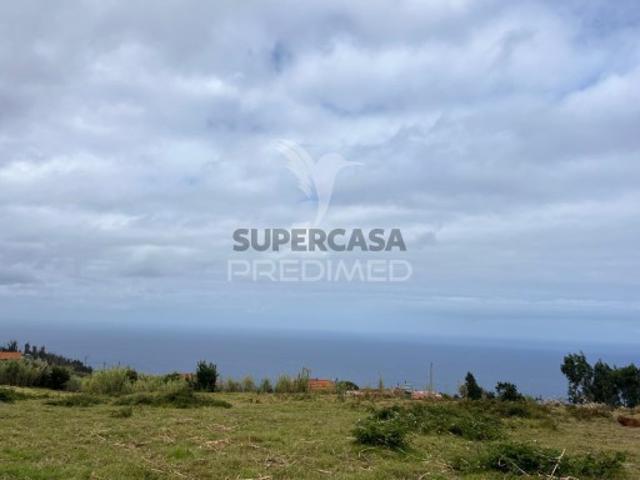 Terreno em Calheta