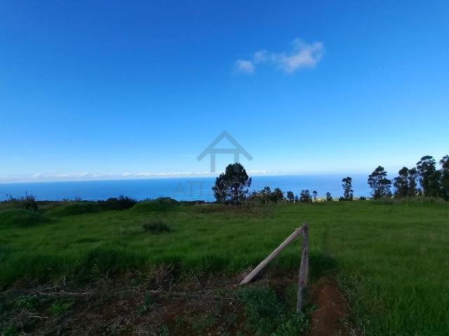 Terreno em Calheta Madeira