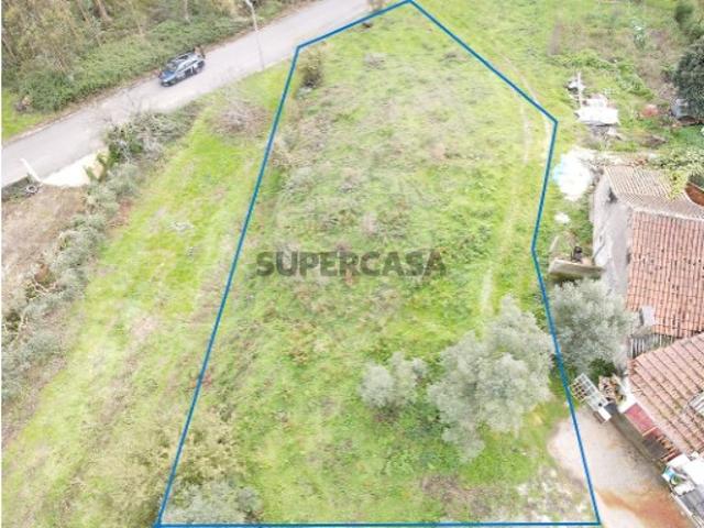 Terreno em Calvaria de Cima