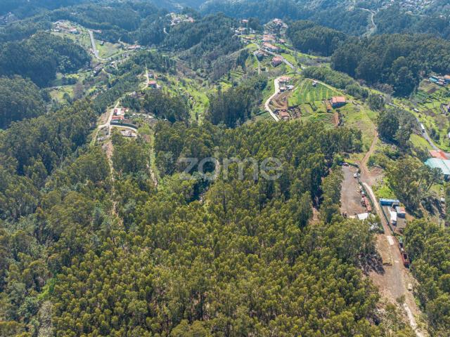 Terreno em Camacha