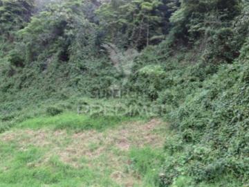 Terreno em Estreito Câmara de Lobos