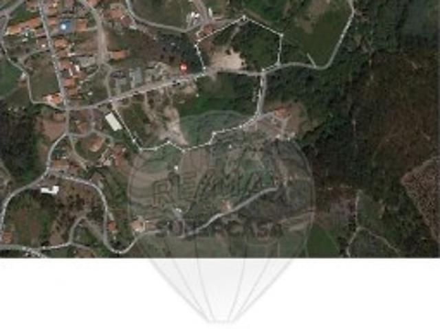 Terreno em Campo, S.Salvador Campo, Negrelos