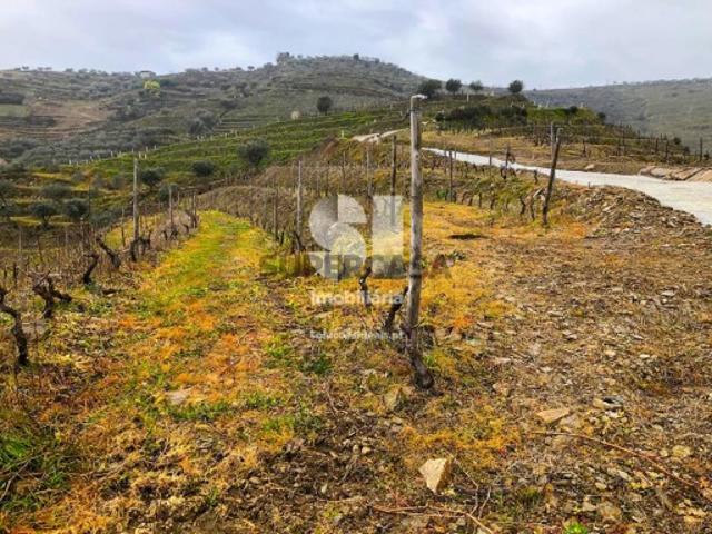 Terreno em Candedo